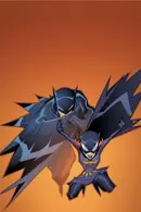 Book cover of The Batman strikes!