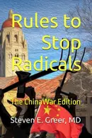 Book cover of Rules to Stop Radicals A Book of Essays on Political Corruption, Propaganda in the Media, and the Surveillance Economy