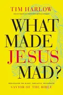 Book cover of What Made Jesus Mad?