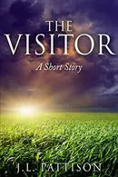 Book cover of The Visitor