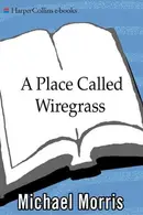 Book cover of A Place Called Wiregrass