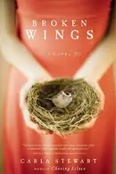 Book cover of Broken Wings