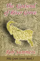 Book cover of The Godsend of River Grove