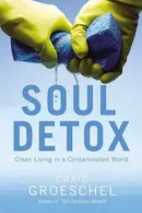 Book cover of Soul Detox