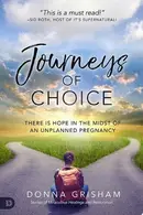 Book cover of Journeys of Choice There is Hope in the Midst of an Unplanned Pregnancy