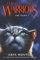 Book cover of The Sight