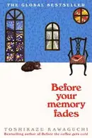 Book cover of Before Your Memory Fades