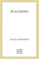 Book cover of Blackbird