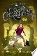 Book cover of The Shadow Thieves