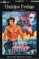 Book cover of Dark Fire