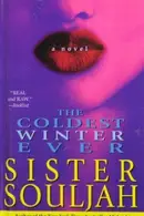 Book cover of The Coldest Winter Ever