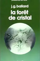 Book cover of Crystal World