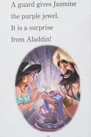 Book cover of Disney princess