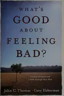 Book cover of What's good about feeling bad?