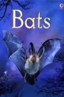 Book cover of Bats