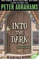Book cover of Into the Dark