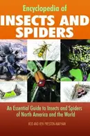 Book cover of Encyclopedia of Insects and Spiders