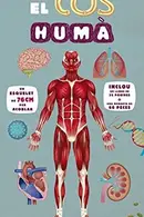 Book cover of Construeixo el cos humà