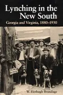 Book cover of Lynching in the New South