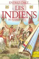 Book cover of Indiens