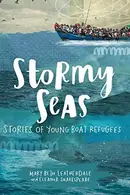 Book cover of Stormy seas