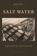 Book cover of Salt Water