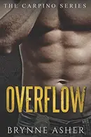 Book cover of Overflow