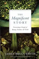 Book cover of Magnificent Story