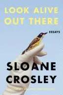 Book cover of Look Alive Out There