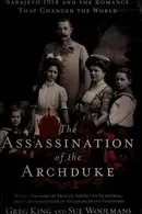 Book cover of The assassination of the archduke
