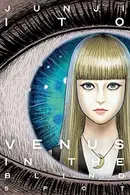 Book cover of Venus in the Blind Spot