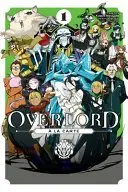 Book cover of Overlord à la Carte, Vol. 1