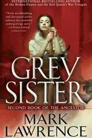 Book cover of Grey Sister