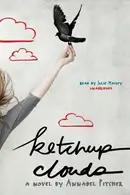 Book cover of Ketchup Clouds