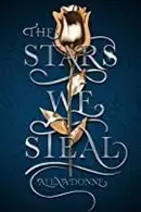 Book cover of The stars we steal
