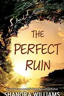Book cover of The Perfect Ruin