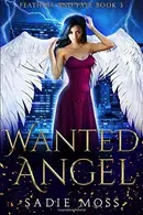 Book cover of Wanted Angel