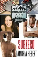 Book cover of Subzero