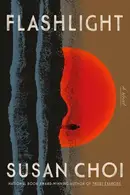 Book cover of Flashlight