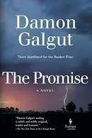 Book cover of The Promise