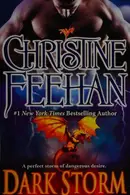 Book cover of Dark Storm