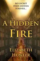Book cover of A Hidden Fire