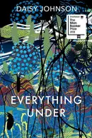 Book cover of Everything Under