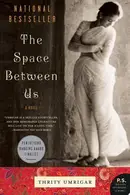 Book cover of The Space Between Us