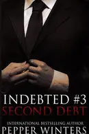 Book cover of Second Debt