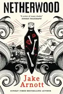 Book cover of Netherwood