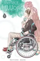 Book cover of Perfect world Tome 9