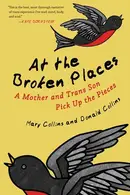 Book cover of At the broken places