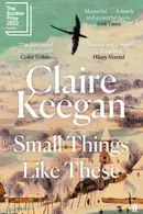 Book cover of Small Things Like These