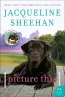 Book cover of Picture This